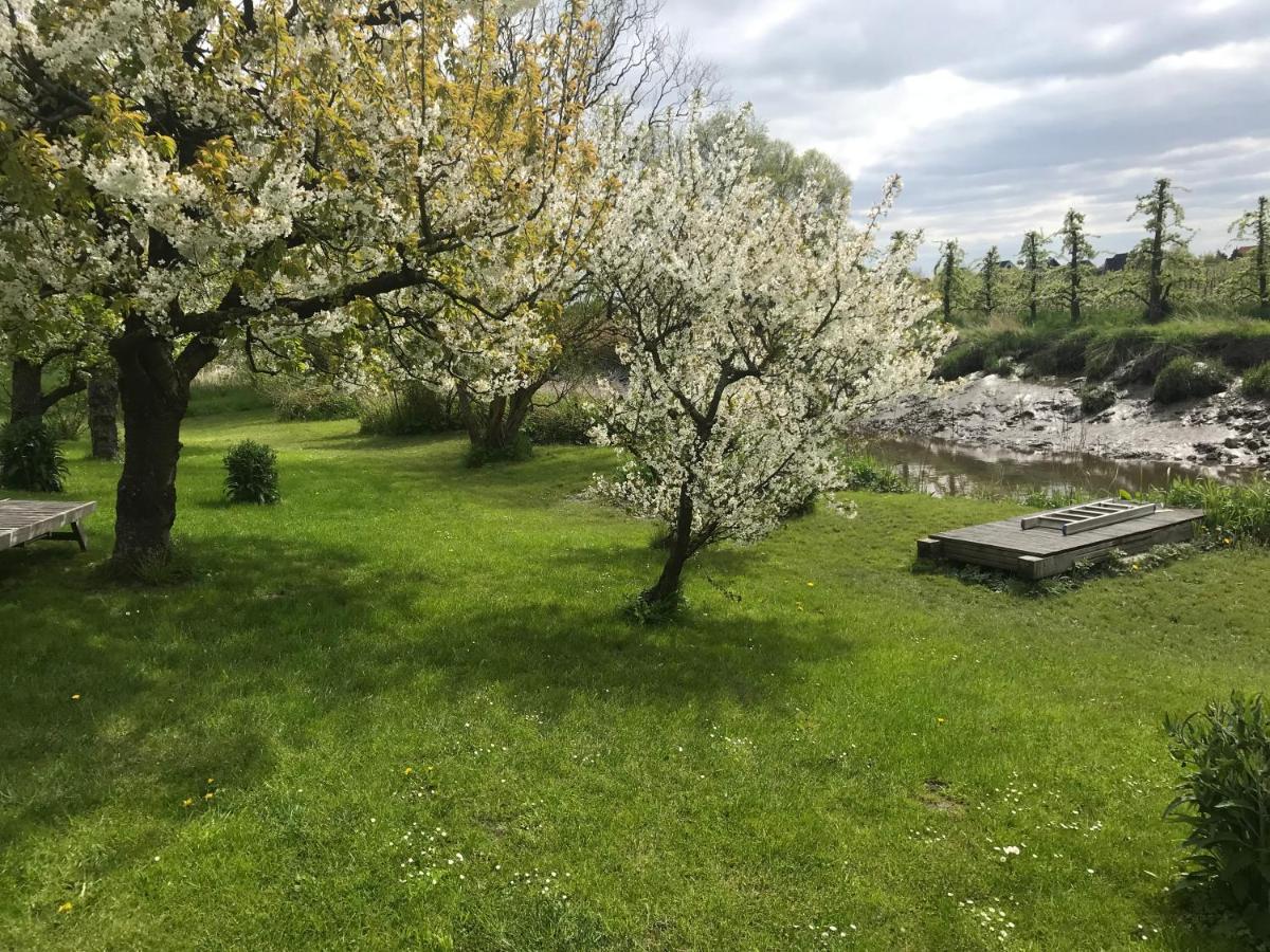 Gaestehaus Weidenkoerbchen Jork Zewnętrze zdjęcie